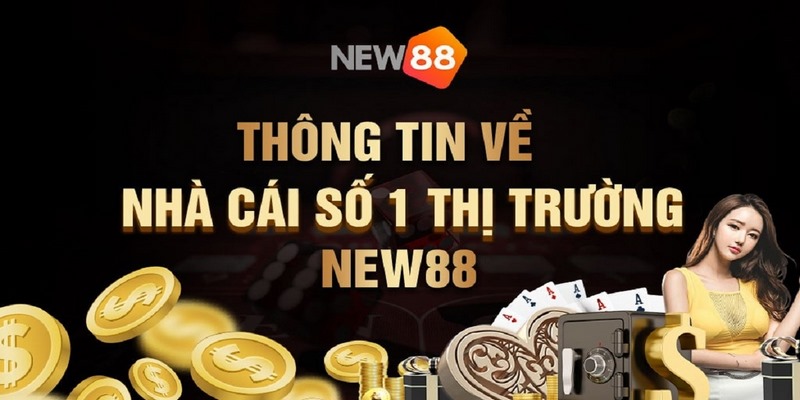 Thông tin tổng quan về đối tác New88